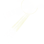 shin